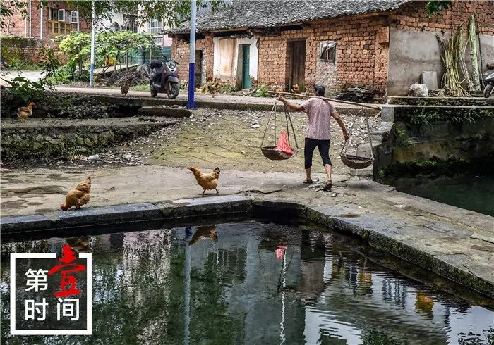 以前没有安装自来水和手摇井的时候,每家每户的生活用水都是在洲塘