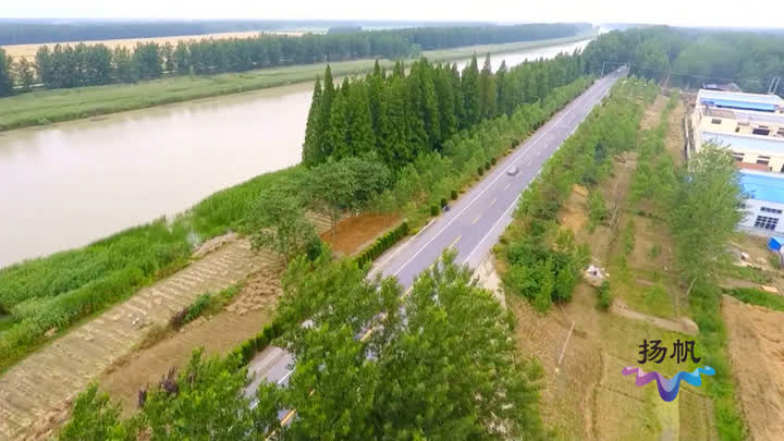 東風苗圃是江都丁夥鎮雙華村最早建起來的苗圃,當地依託苗圃發展花木