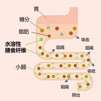 火遍日本的脂肪粉粹机,躺着就能瘦!