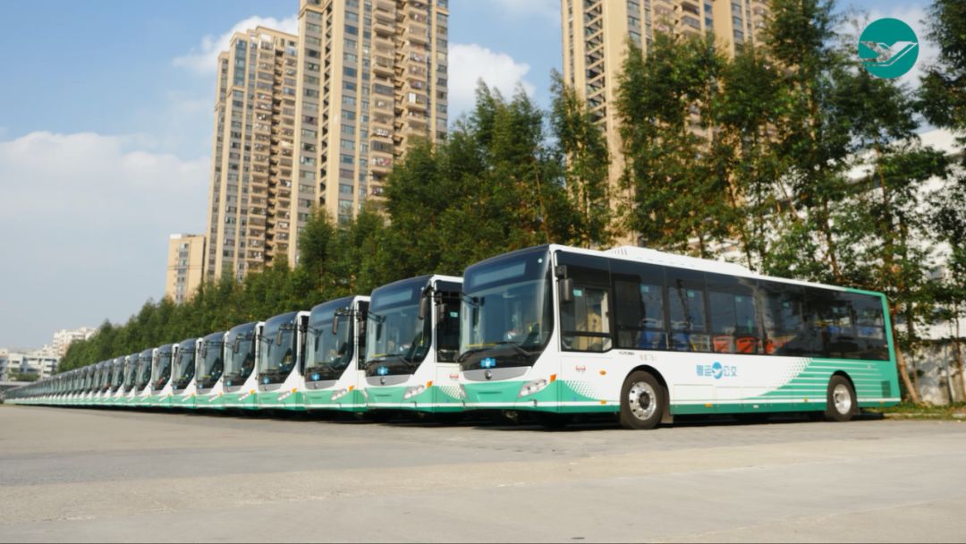 投票啦佛山粤运公交入围第七届品牌佛山评选活动