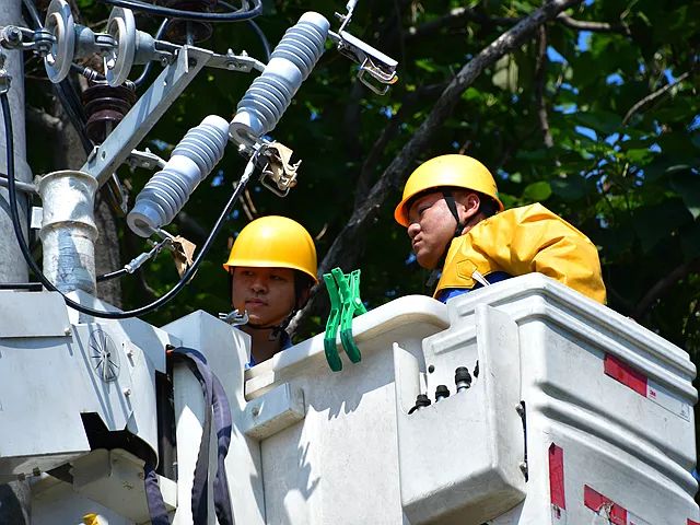 电力充足 菌菇飘香