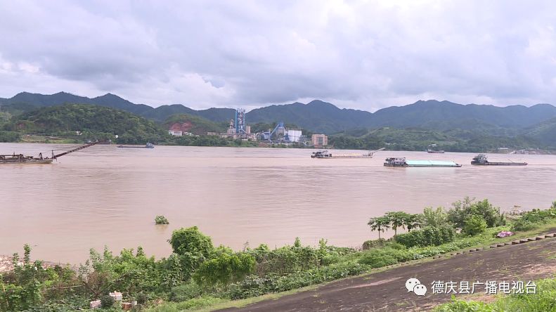 德庆西江水情▼图:褥坚 提供封开西江水情▼受降雨影响,西江水位继续