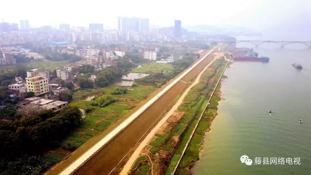 河東防洪堤建設2018年7月1日杉花根大橋正式通車,既便捷了藤縣河東和