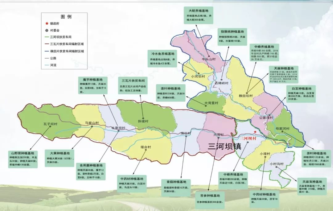 县人大常委会副主任周绍强到三河坝镇检查指导脱贫攻坚产业培育和扶贫