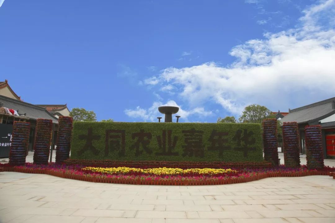大同农业嘉年华7月13日开始试营业啦!