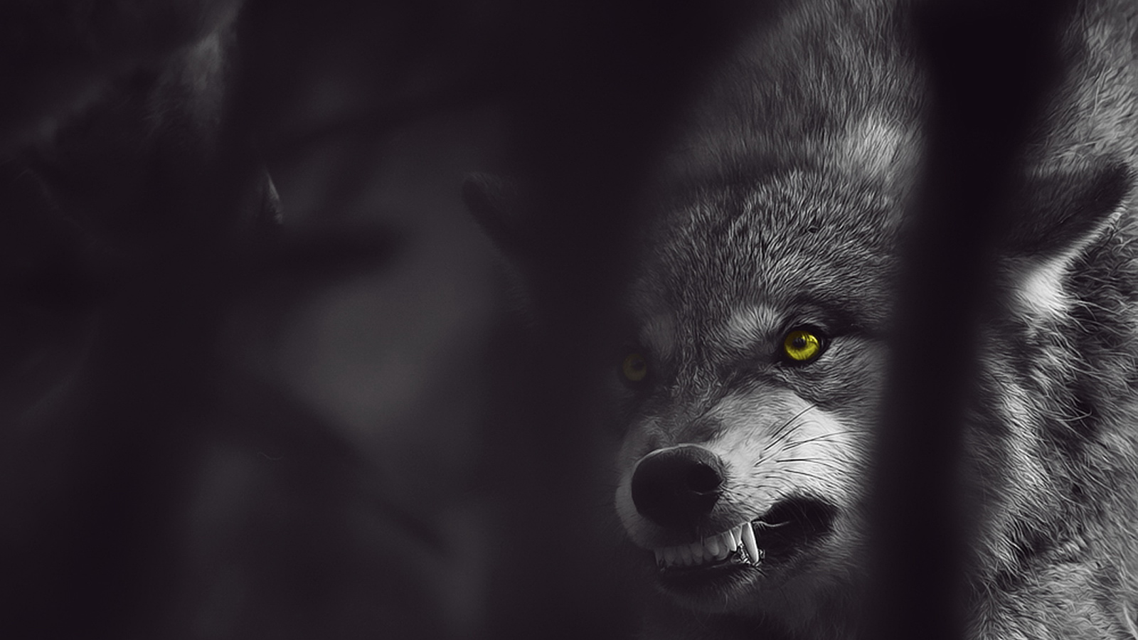 你给员工吃草却指望他们有狼性