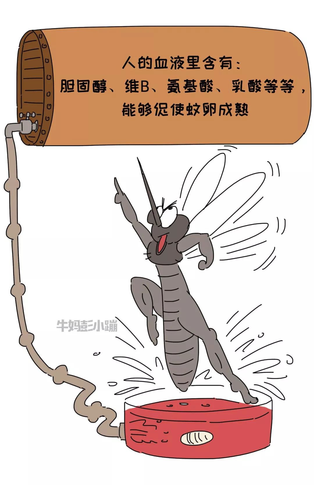 头条宝宝总被蚊子叮跟血型有关真有更招蚊子的血型吗