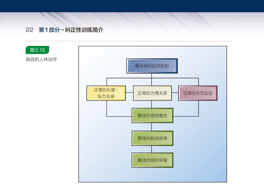 运动康复领域重磅之作 nasm-ces官方教材首次出版「文末汉唐带来福利