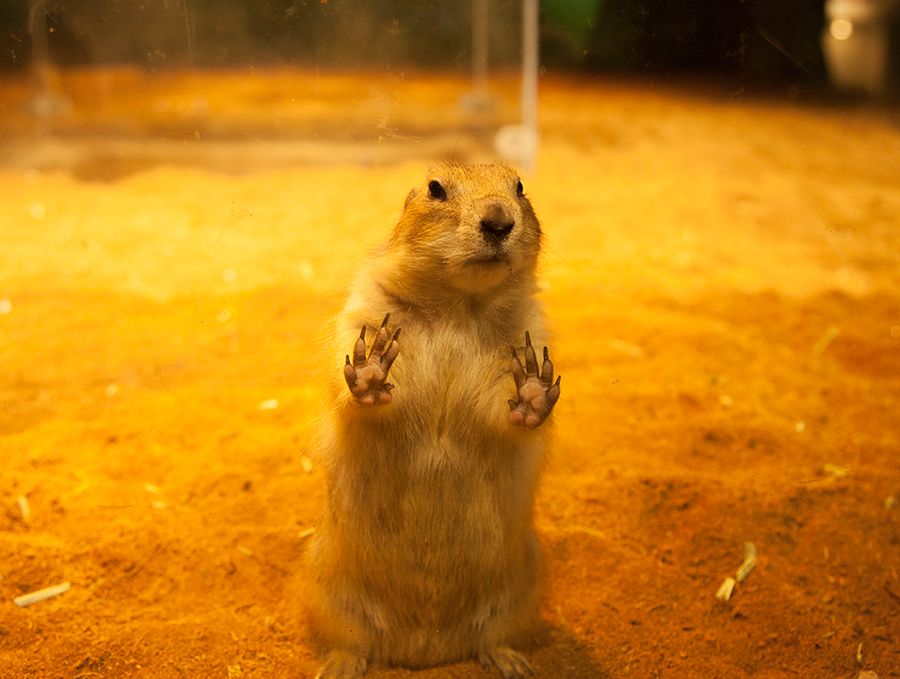 【贝贝熊16周庆】周末开启,下雨也能玩到飞起