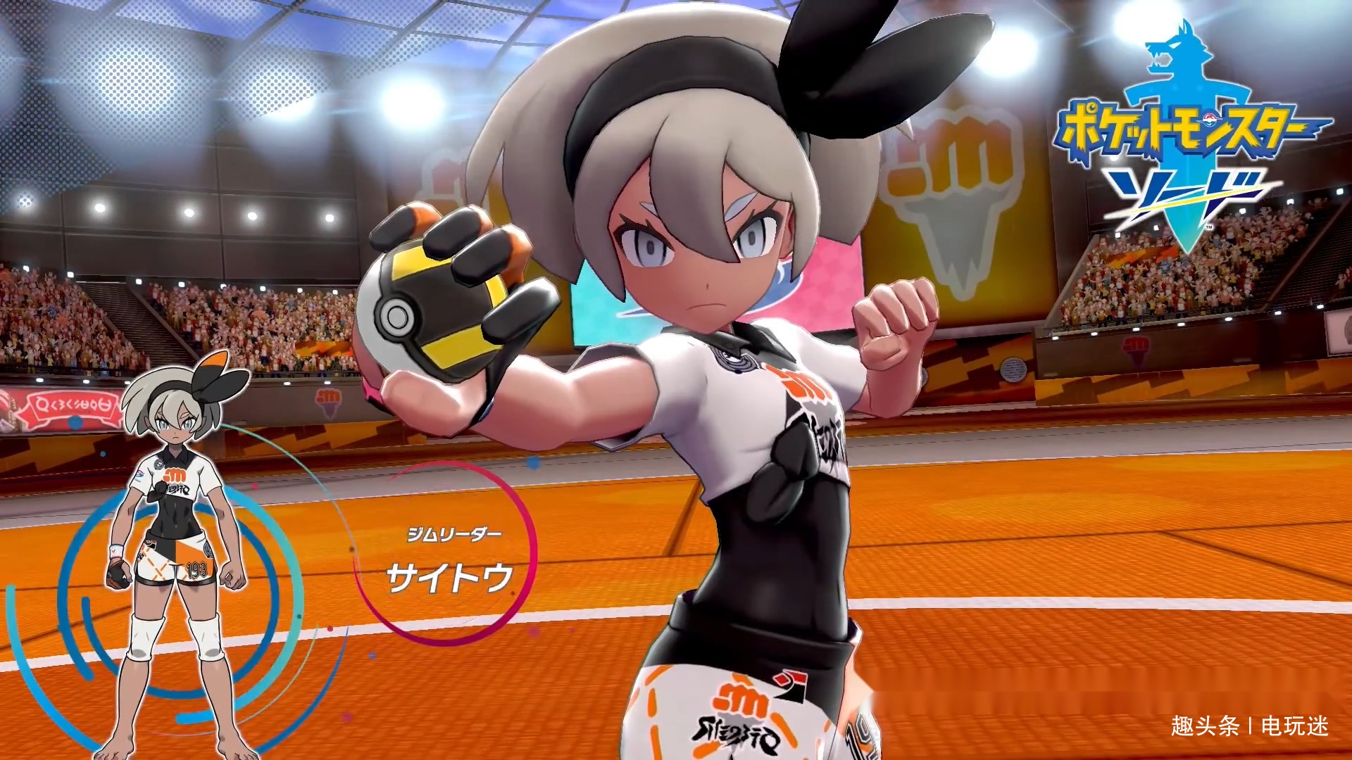 格斗少女与幽灵少年《精灵宝可梦:剑盾》双本不同馆主公开