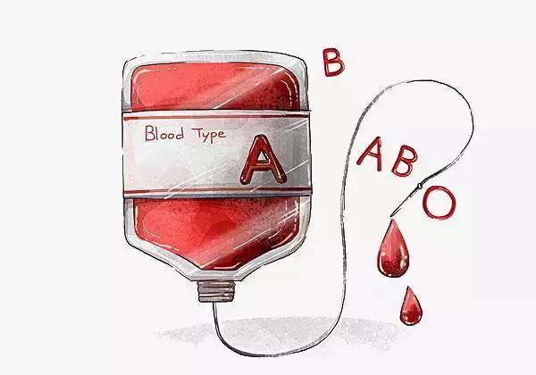 特别是1900年奥地利病理遗传学家兰德斯泰纳发现了abo血型系统,输血