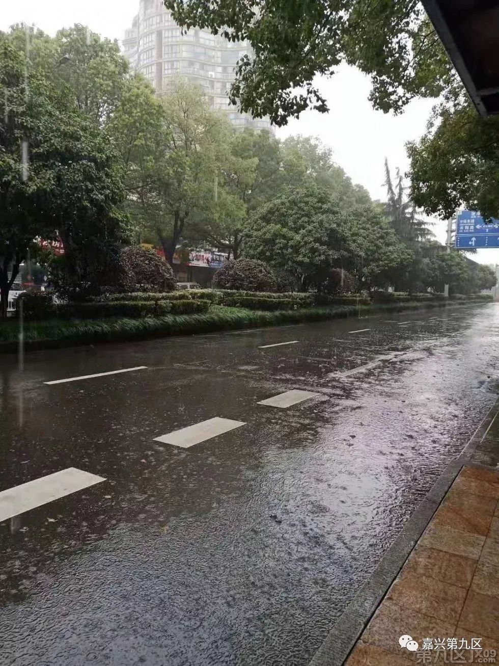 嘉兴全城暴雨路上可以划船了未来一个月天气扎心