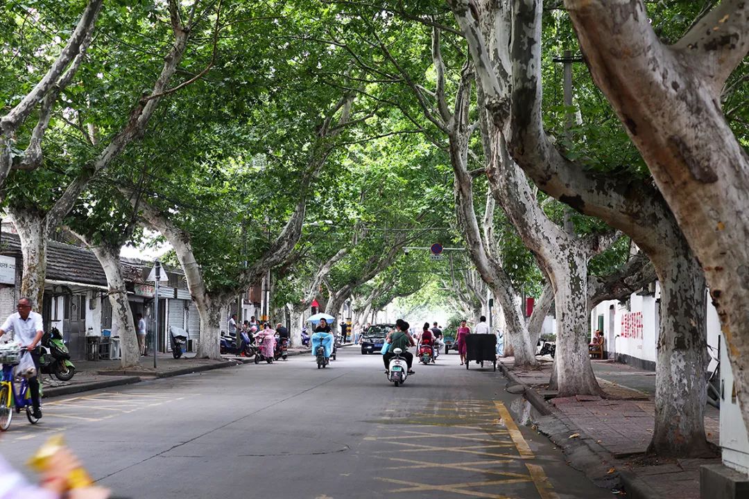 馄饨飘香三十年美味就在西长街