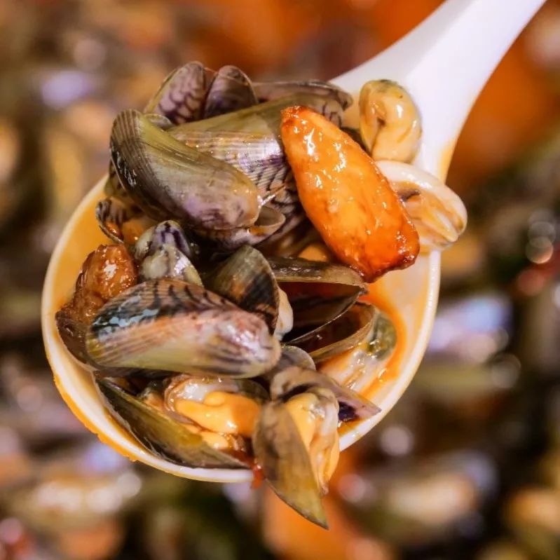 只有盛夏的三个月才有的海瓜子上到高级酒楼下到路边大排档没有一个