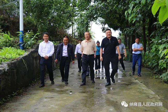 县委常委,县纪委书记,县监委主任袁靓,县纪委监委,县委组织