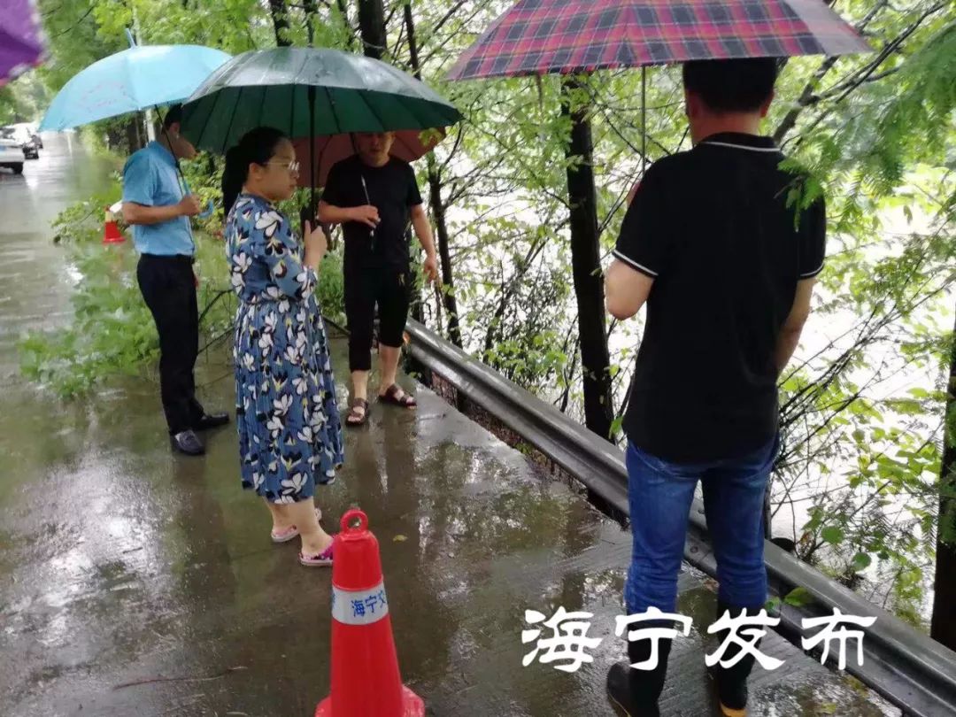 盐官镇辛塘江边河岸坍塌造成部分路基坍塌,盐官镇镇长贝凌峰实地查看