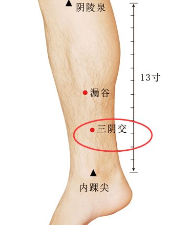 拔罐虽能治很多病但这样做会适得其反