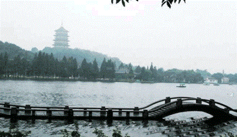 488_283gif 动态图 动图