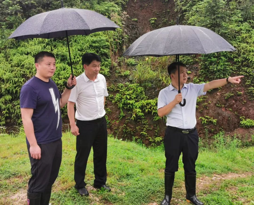 会议结束后,黄轲迅速组织相关党政,镇水管站及党政办相关负责人赴镇域