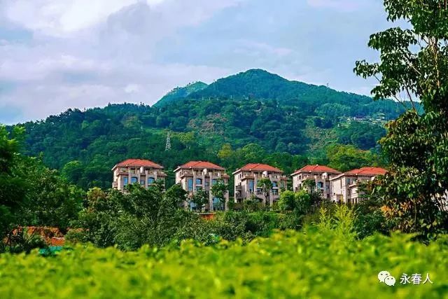 永春大鹏山庄好风光