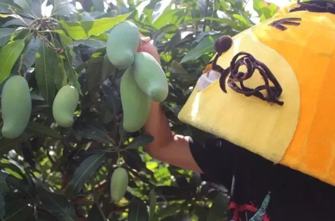 抢购期间如有任何问题,请联系客服微信:芒里芒外芒果-1-在vivi经过