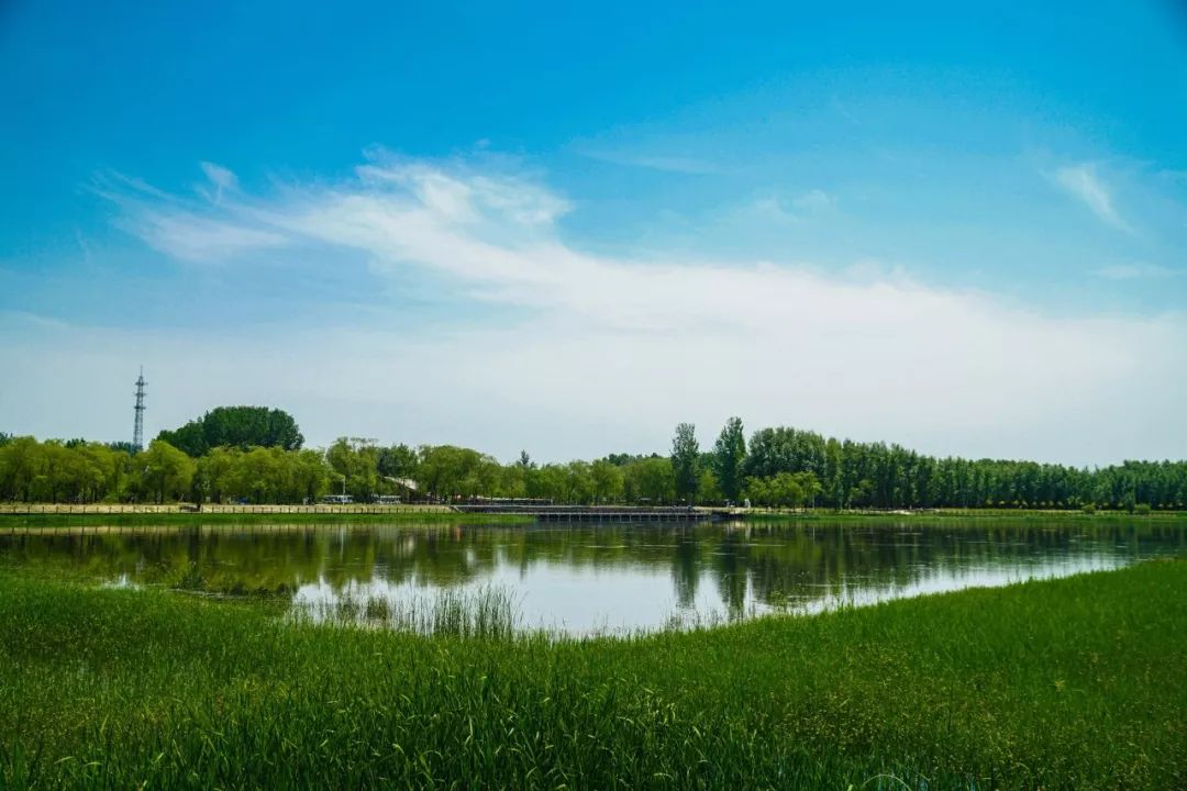 北京夏季避暑的绝佳去处?这十个湿地美景您一定不能错过!