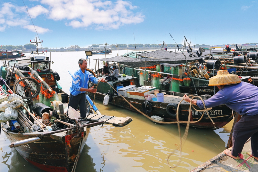 广州避暑胜地:去南沙出海捕鱼,到无边际泳池打卡_葵花