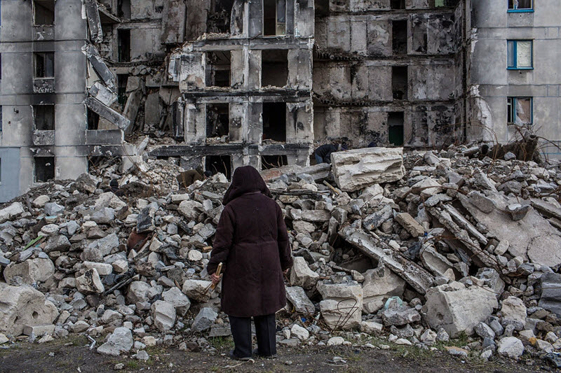 泪奔!因战争而流离失所2年的老流浪狗,终于回家了