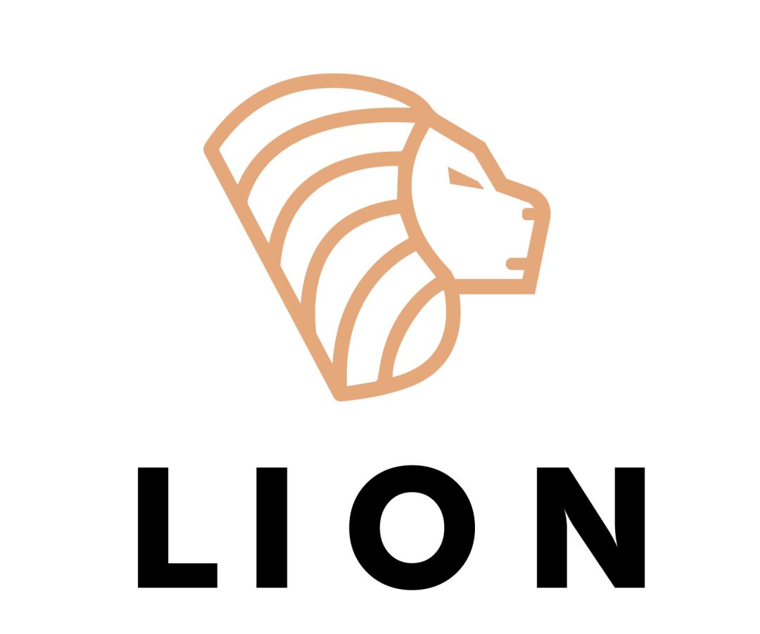 半年团队人均收入30万lion团队精英招募