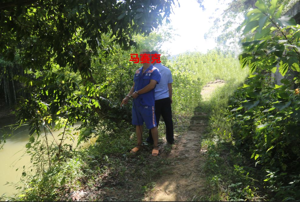 大快人心一县一镇两起杀人案告破作案时间地点动机等首次公开