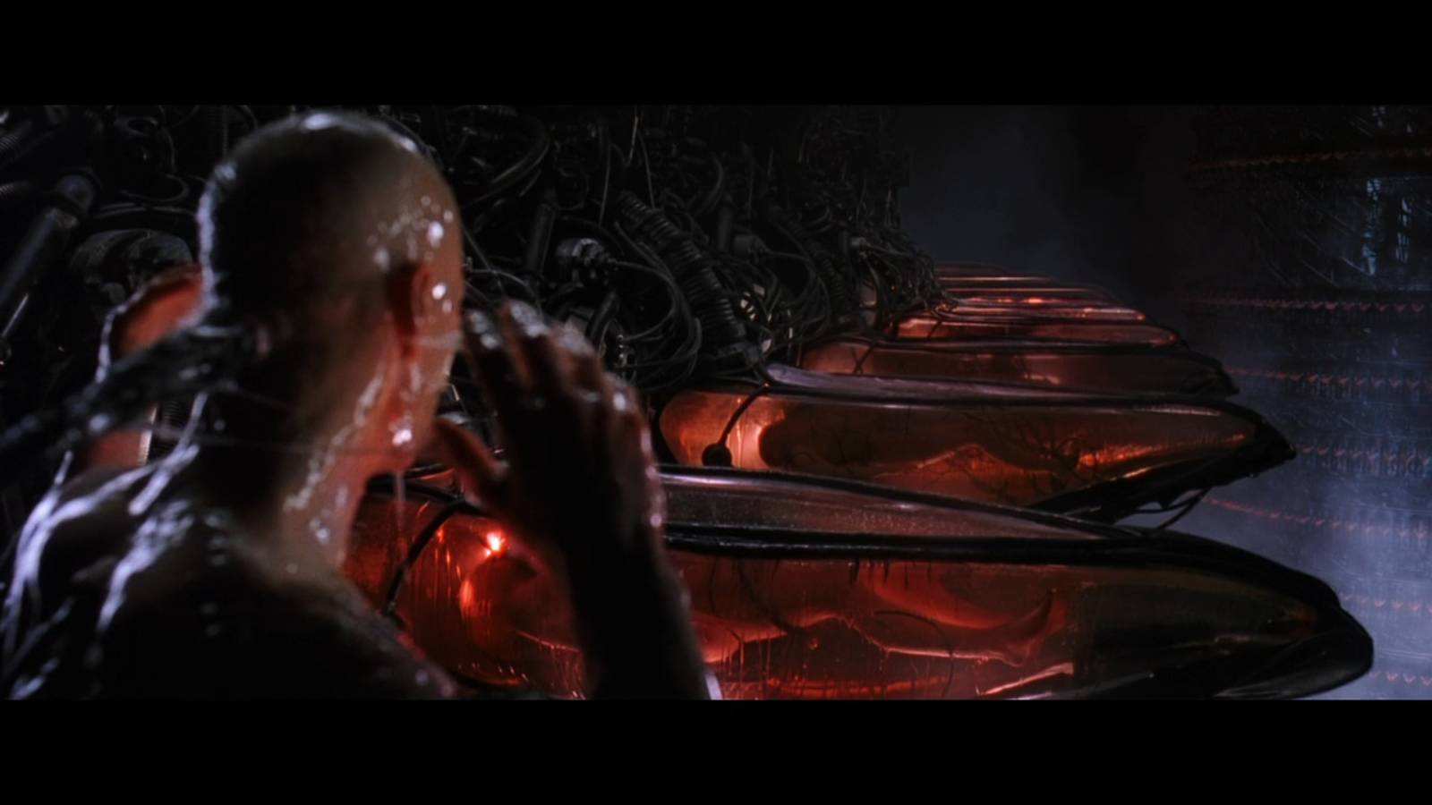 6㎝长探针插进大脑与计算机相连模仿黑客帝国他是认真的