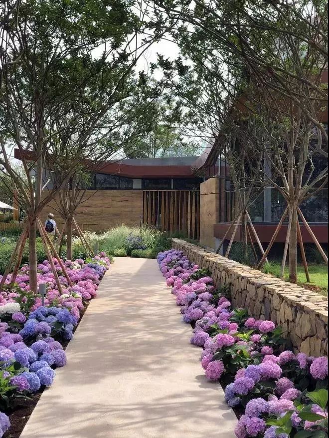 05空间感高矮胖瘦,植物高度的错落,生长体量的胖瘦其实很重要,搭配得