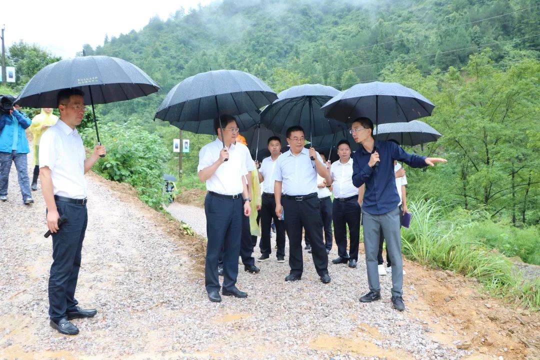 东西部协作范木溪树蛙精品民宿开工
