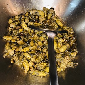 炸知了猴,很多人第一步就错了,一定直接下油锅,否则发柴还不香_美食