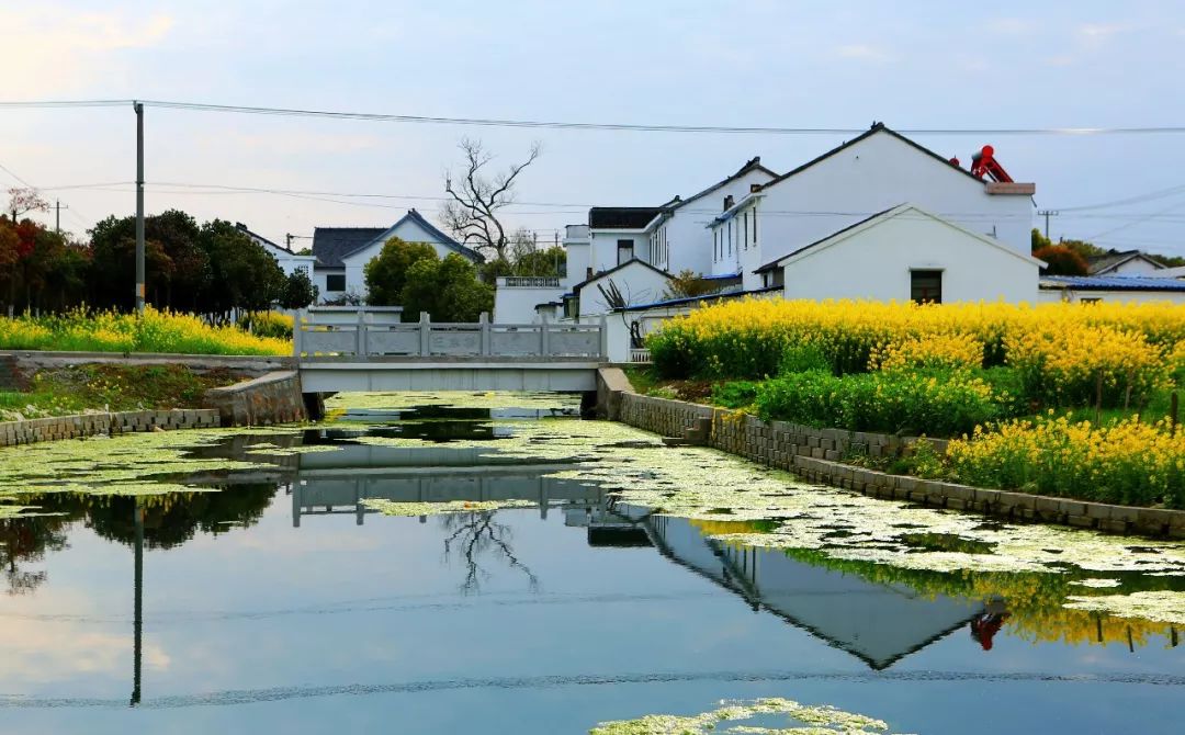 江阴市周庄镇陶城村图片