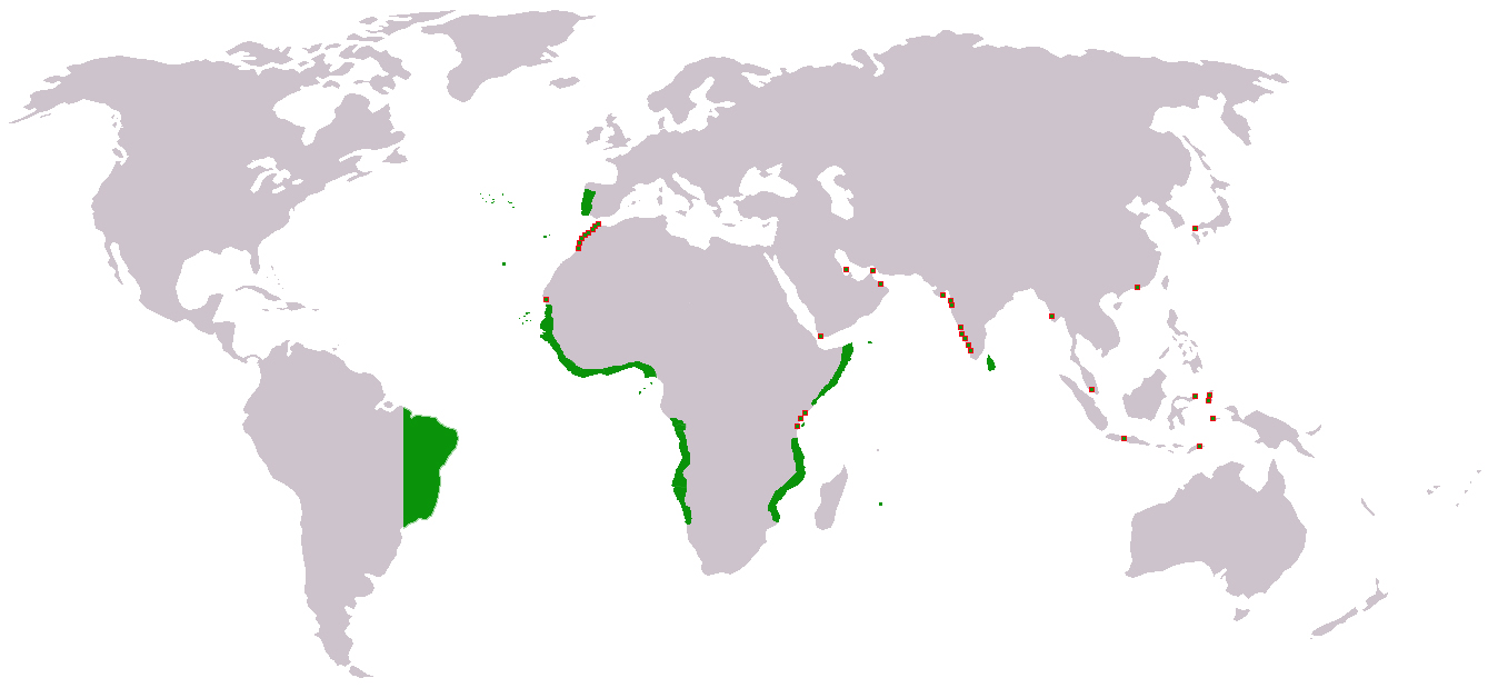 葡萄牙亚洲殖民地图片