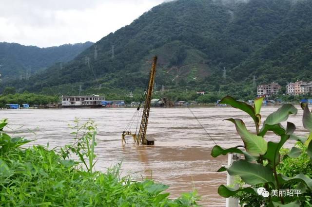 受強降雨影響洪峰過境昭平桂江水位上漲今年首次超警戒水位