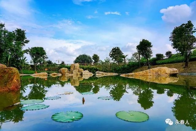 永春大鹏山庄好风光