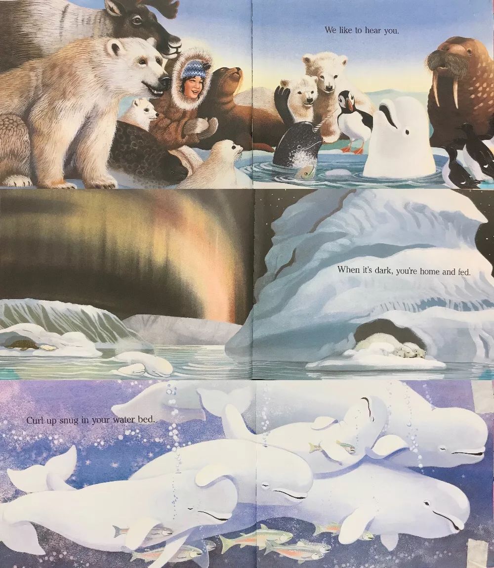 mymo电台no30babybeluga