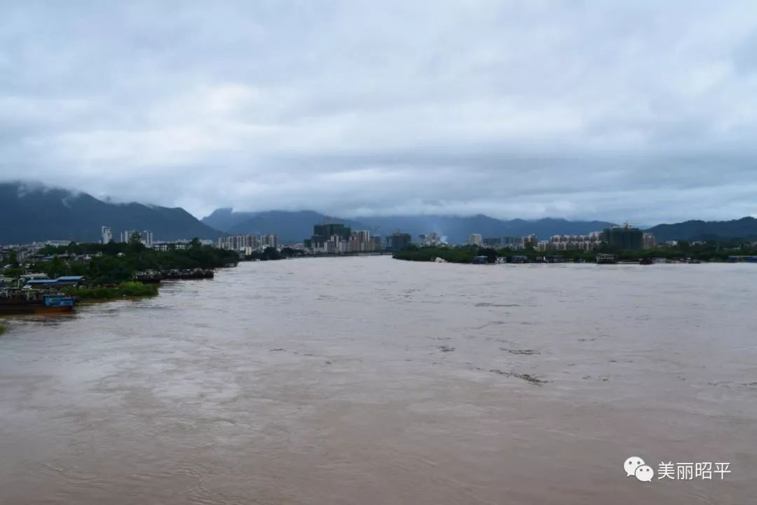 受強降雨影響洪峰過境昭平桂江水位上漲今年首次超警戒水位