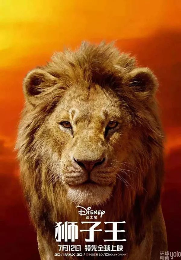 《狮子王2019》无趣的真实_动物