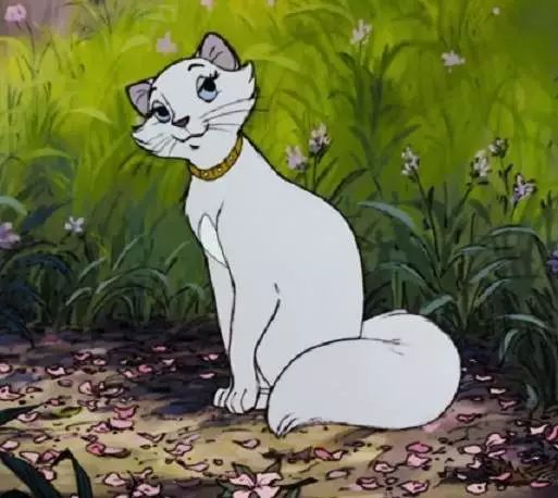 白猫历险记动画片图片