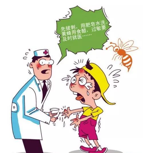 蜜蜂卡通蜇人图片