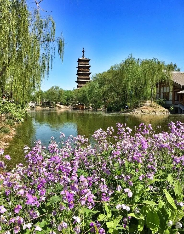 北京城區這麼多免費公園,景美人少,遛彎看花健身都合適!_郊野