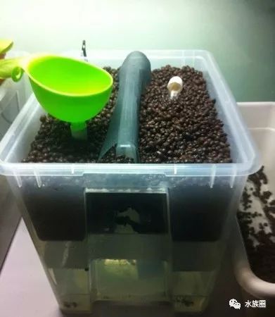 喂鱼透过排水的那根管子,为了避免管子太小不好喂食和加水,加一个漏斗