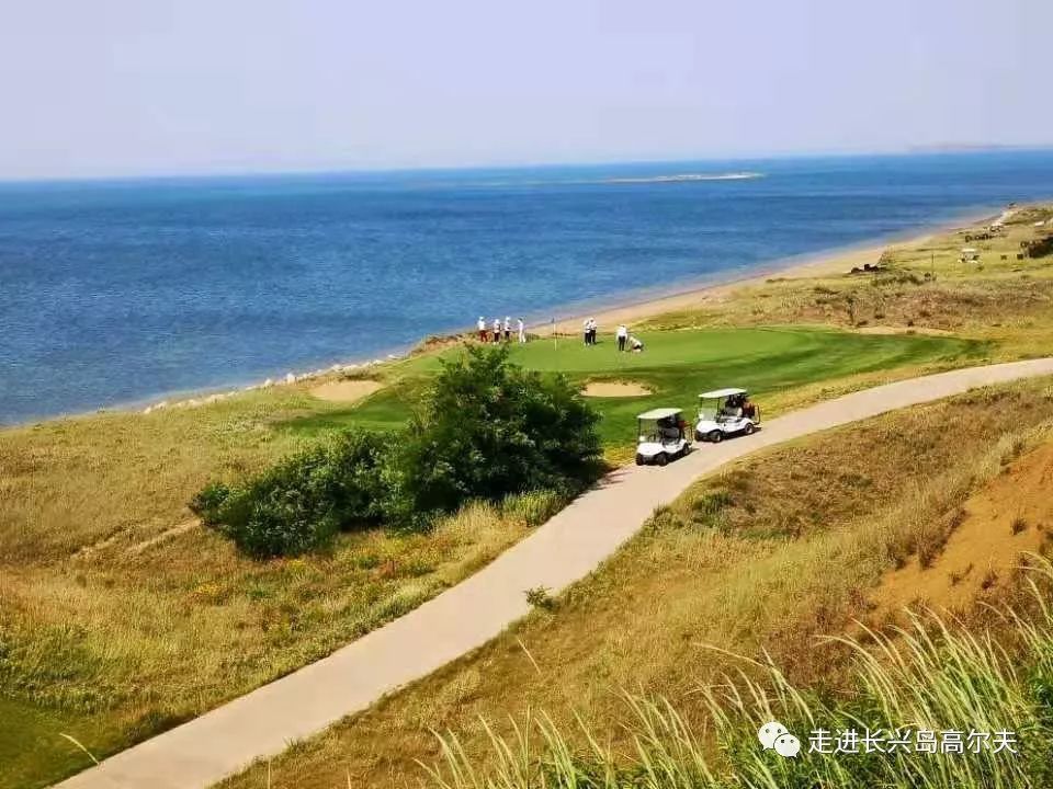 夏季打球避暑勝地海濱林克斯大連長興島