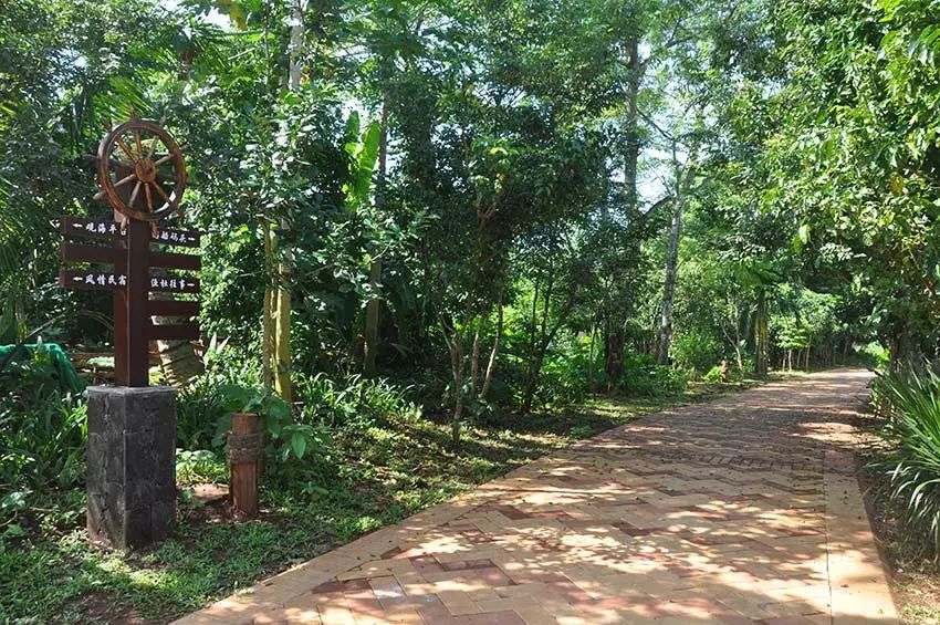 好消息美兰区演丰镇山尾头村拟入选第一批全国乡村旅游重点村名录乡村