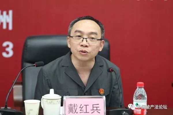 图为自治区高院副院长 戴红兵讲话