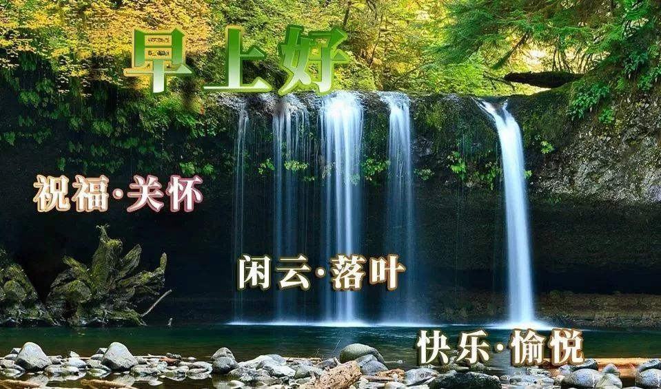 最新清晨早安问候祝福图早晨好暖心祝福短信