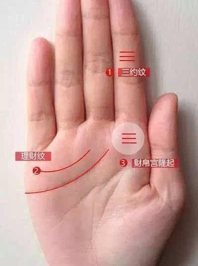 三约纹,也叫三豹纹 .